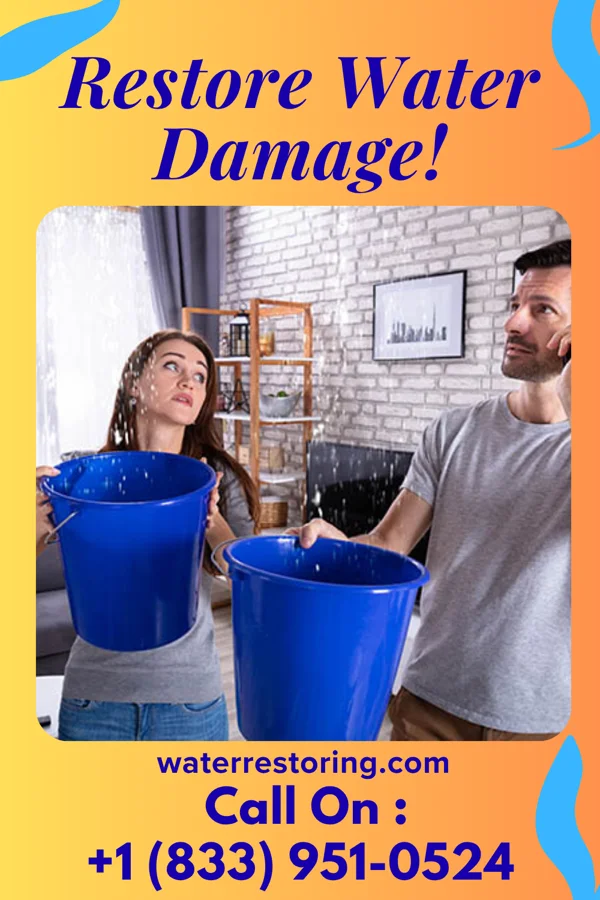 water restoration Zenith Water Damage Brothers Bridgeport