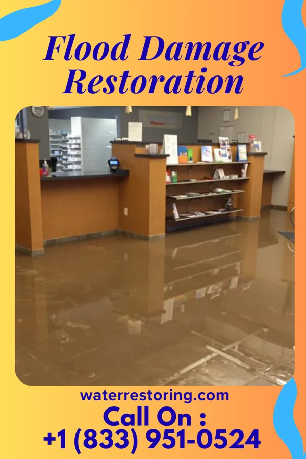 Flood Damage Restoration in Bridgeport, OH